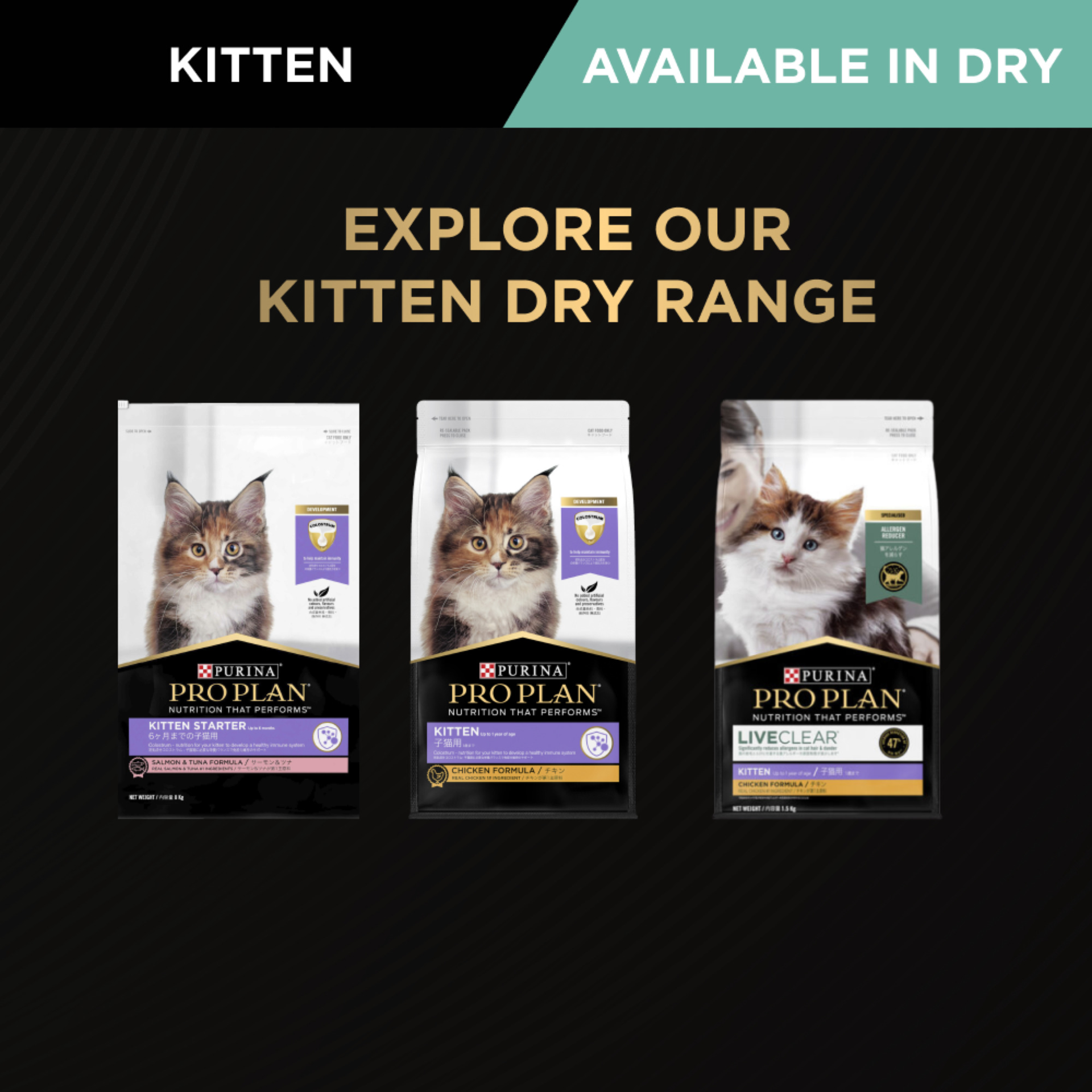 Pro Plan Kitten Wet Cat Food Variety Pack - Petdirect