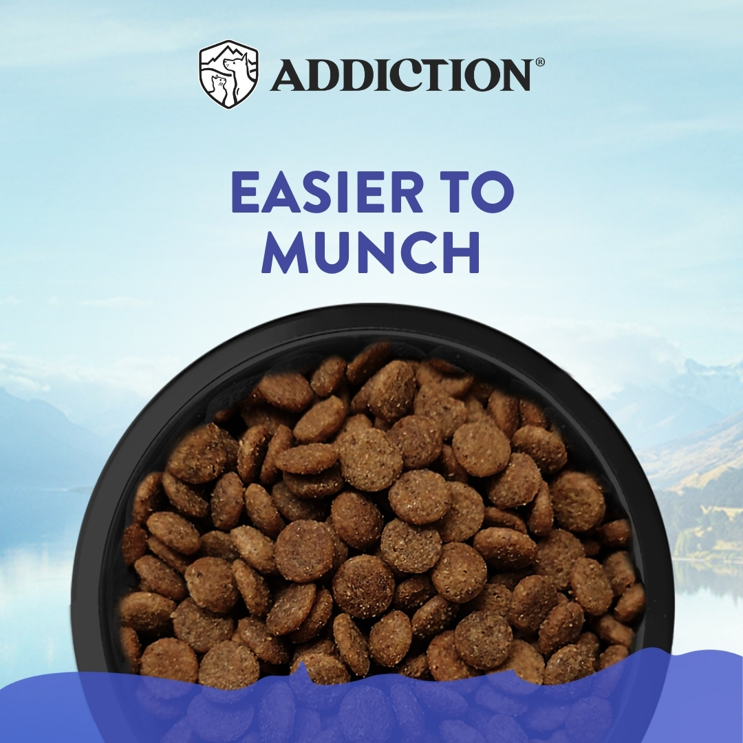Picture Idea: Addiction Grain Free Duck Royale Entree Small Breed Dry Dog