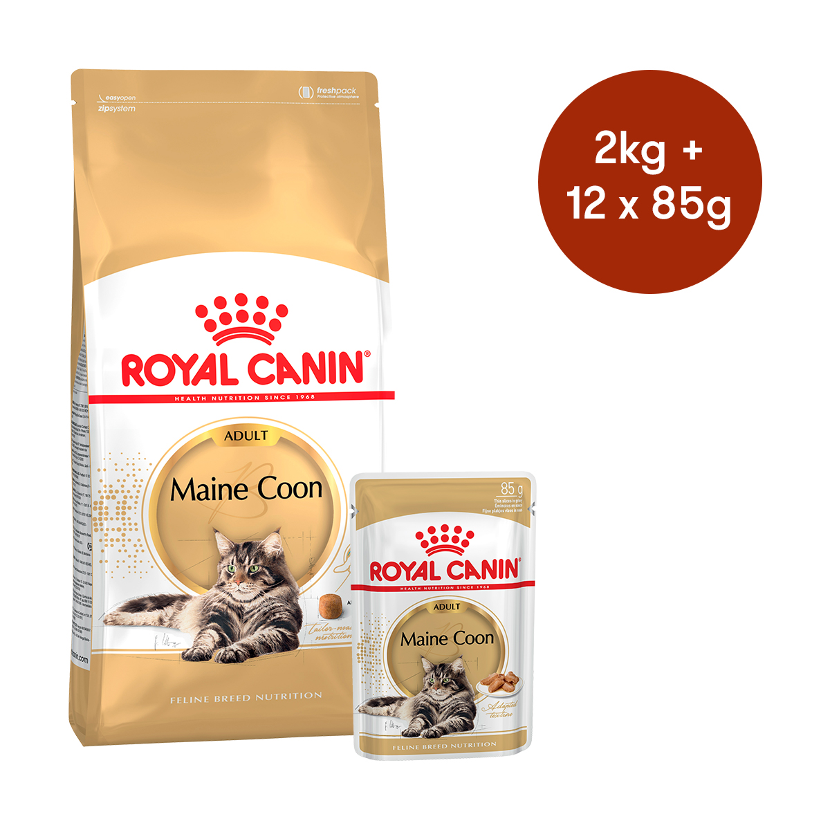 Royal Canin Maine Coon Adult Dry Wet Cat Food Bundle Petdirect