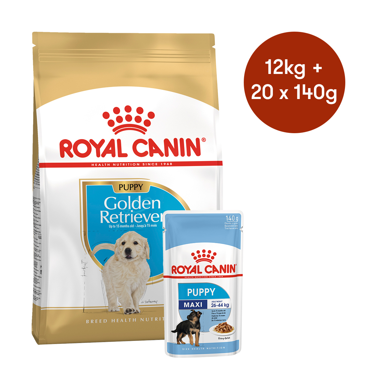 Golden Retriever Best Treats For Week Old Puppy Royal Canin Golden