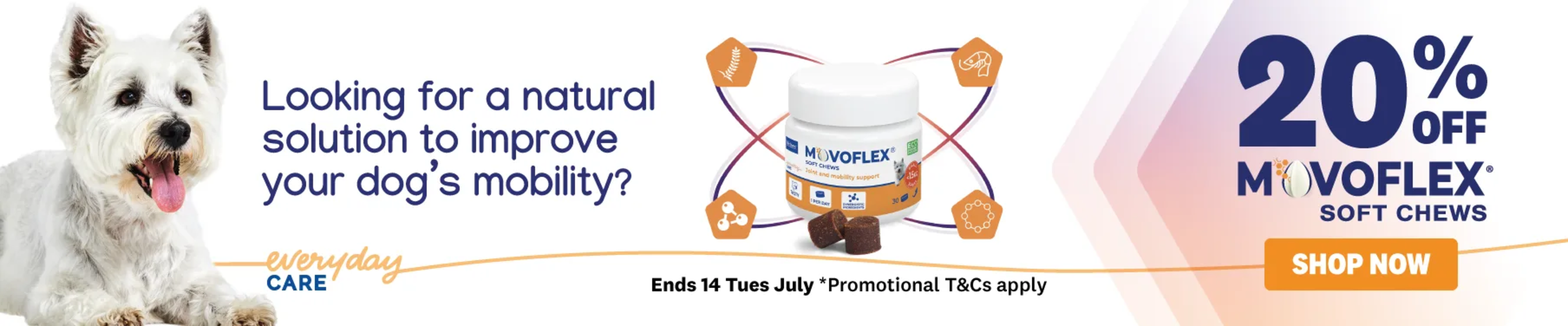 01CT - Movoflex Dog Health Category Banners July 2026