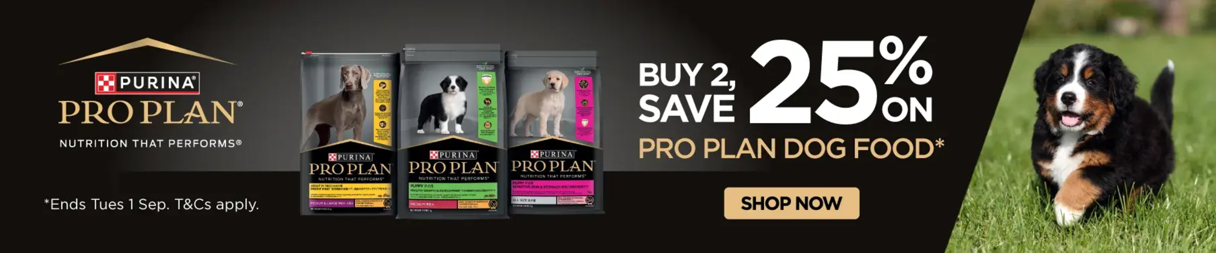 01CT -Pro Plan  Dog Food Category Banner Aug 2026
