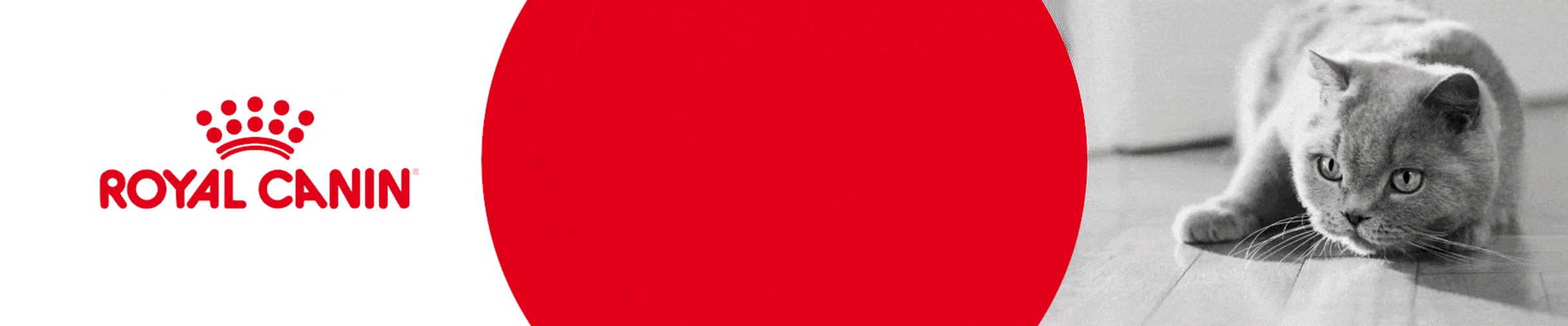 Brand Collection - Royal Canin Size Health Nutrition Range