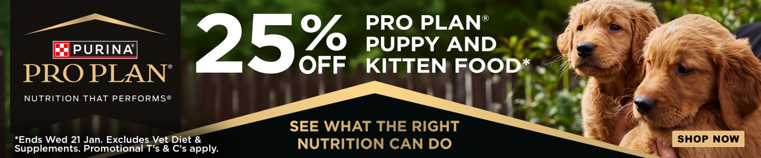 01CT Pro Plan Kitten Food Category Banner Jan 2026