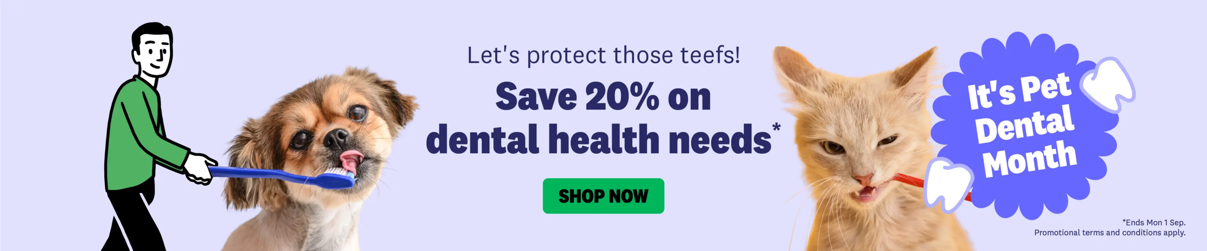 01CT - Promotional Category Banners All Health - Dental Health Month 2025