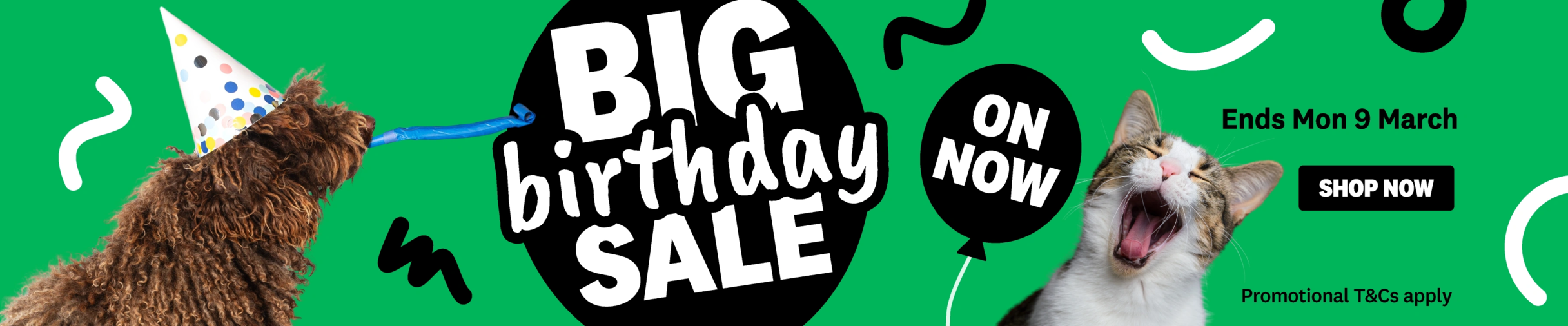 01CT - Promo Category Banners - BIG Birthday Sale Offer General Feb 2026
