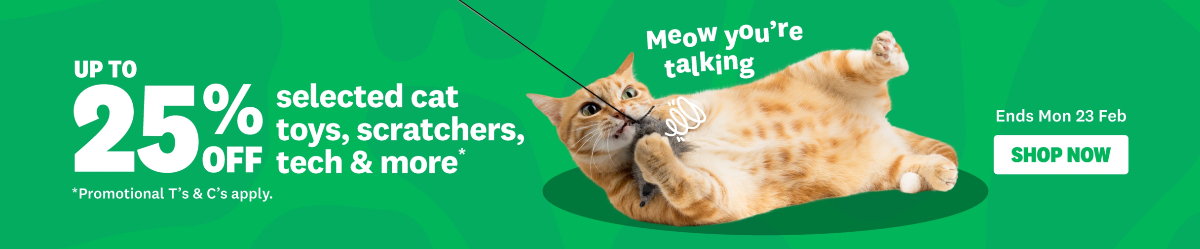 01CT - Cat Accessories Deals Category Banners Feb 2026