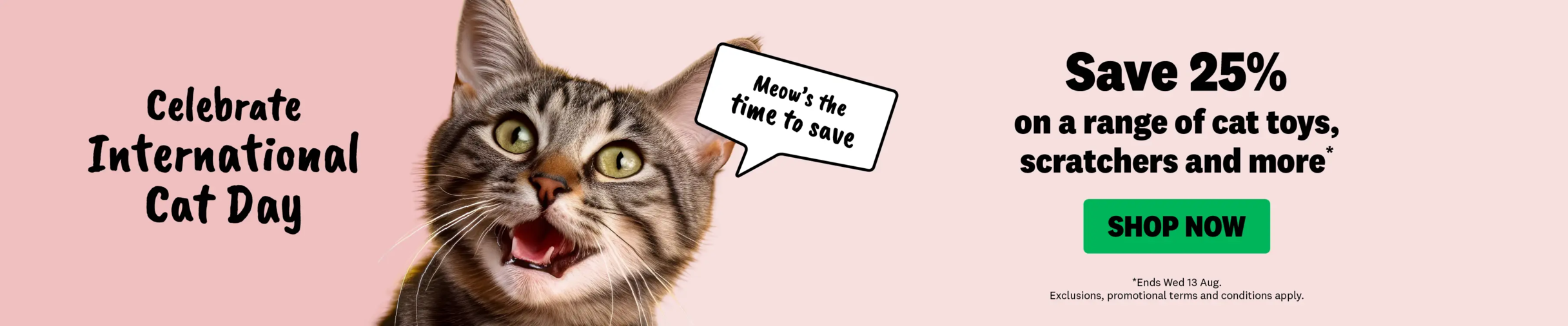 01CT - INT CAT DAY Category Banners Cat Accessories Aug 2025