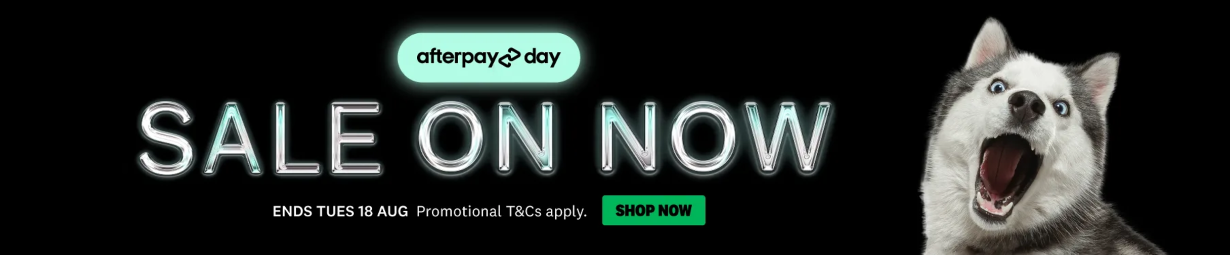 01CT -  Afterpay Day Sale General  Category Banners All  August  2026