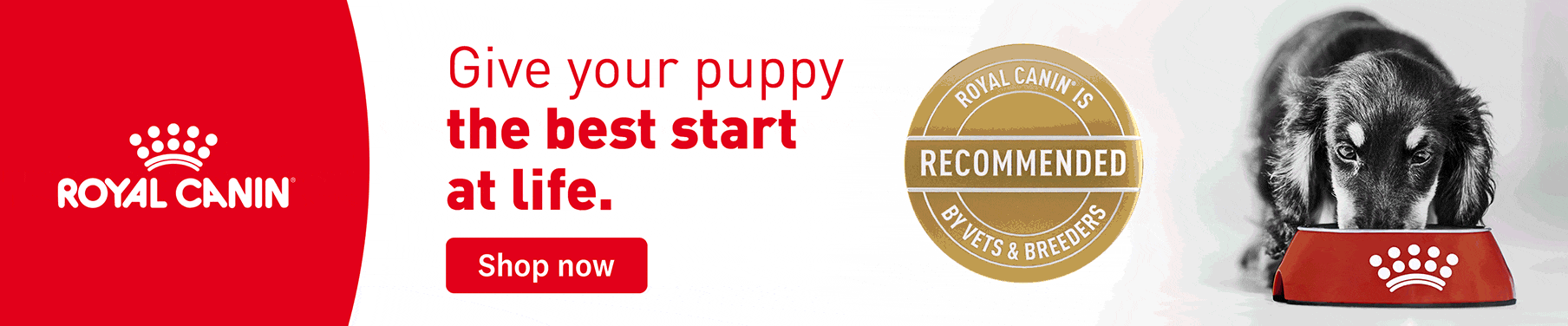 01CT Royal Canin Puppy Food Banner Evergreen