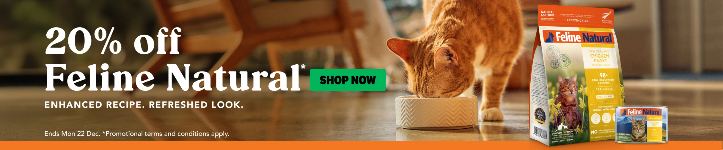 01CT - Feline Natural Category Banner  Cat 2025