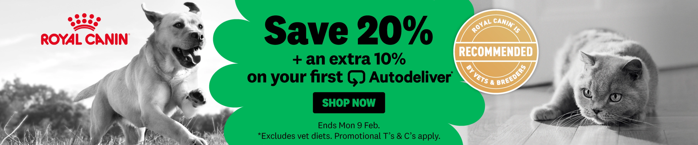 01CT Royal Canin Dog Food Category Banner Jan 2026
