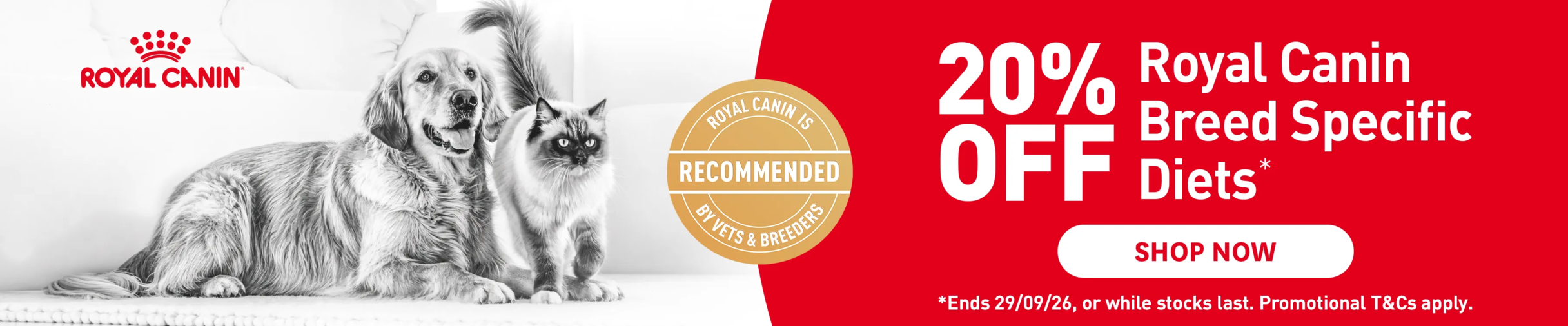 01CT - Royal Canin Breed Cat Food Category Banner Sep 2026