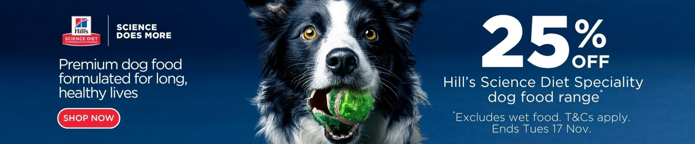 01CT - Hill's Dog Food Category Banner Oct 2026