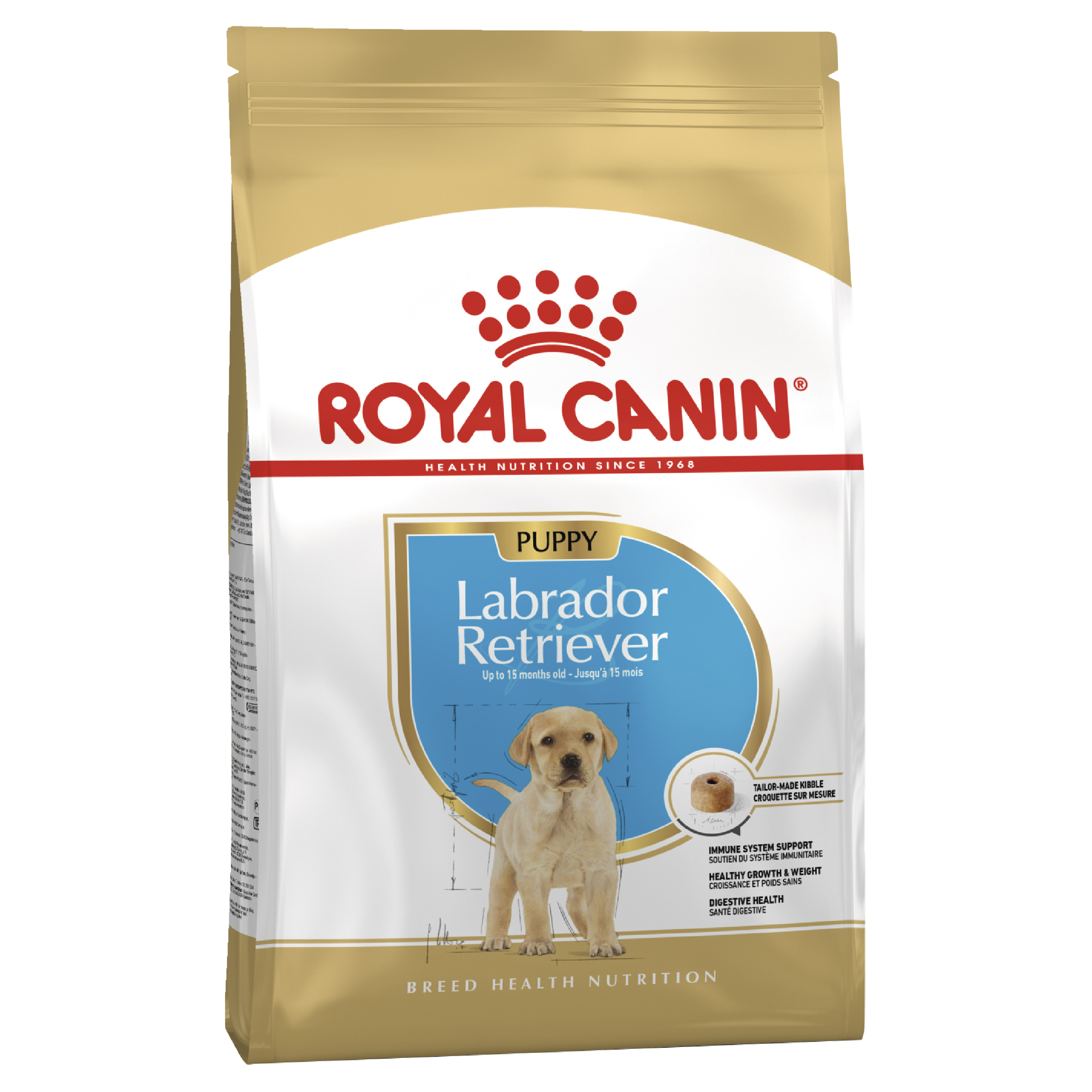 Labrador When Can You Start Feeding A Puppy Twice A Day How Often