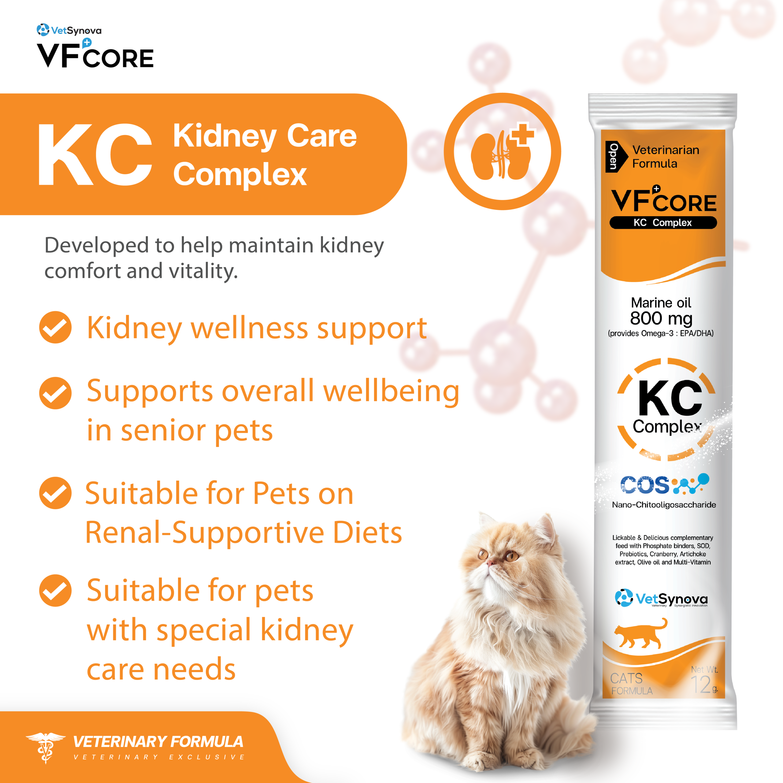 VetSynova VF+ Core KC Kidney Care Complex Cat Supplement - Petdirect