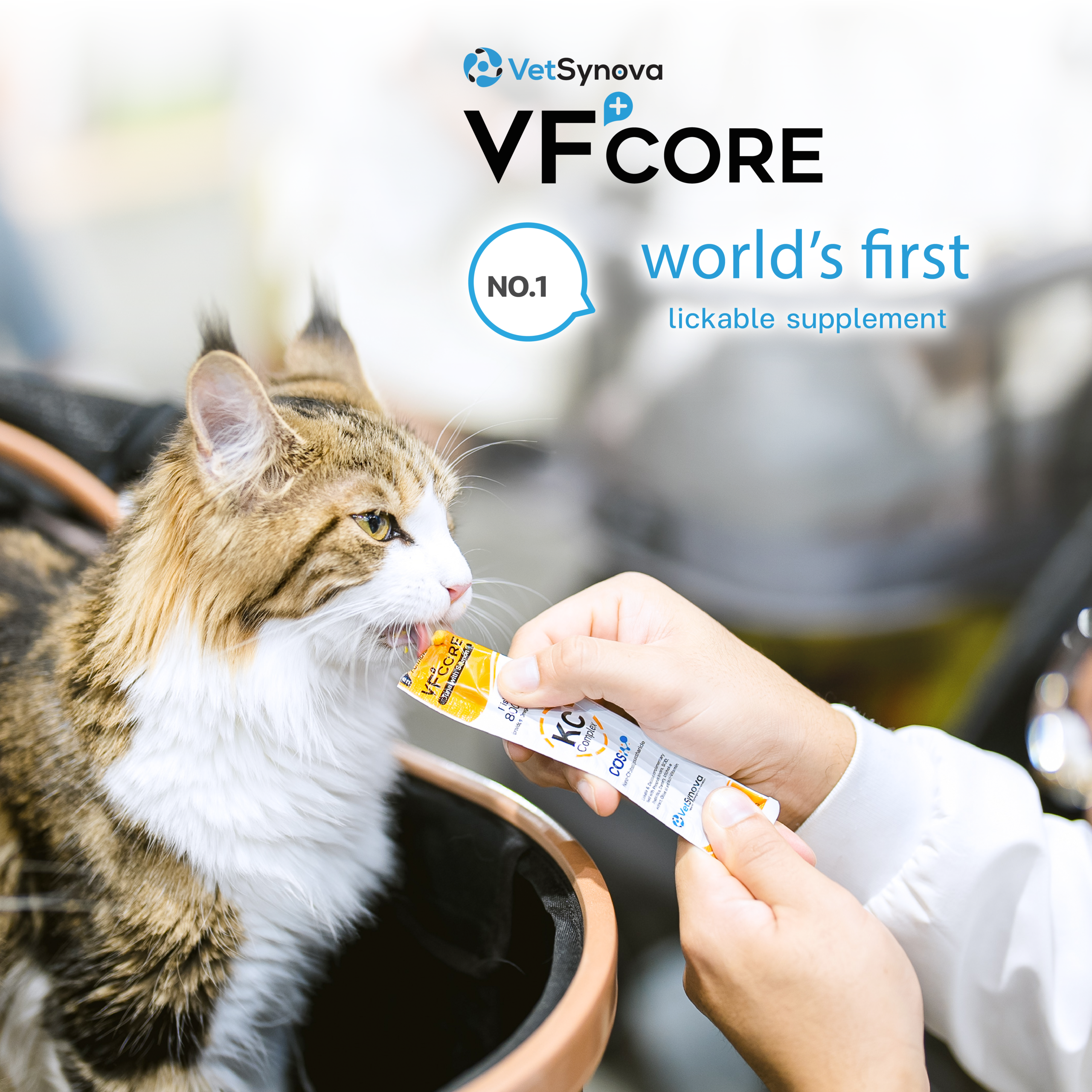 VetSynova VF+ Core KC Kidney Care Complex Cat Supplement - Petdirect