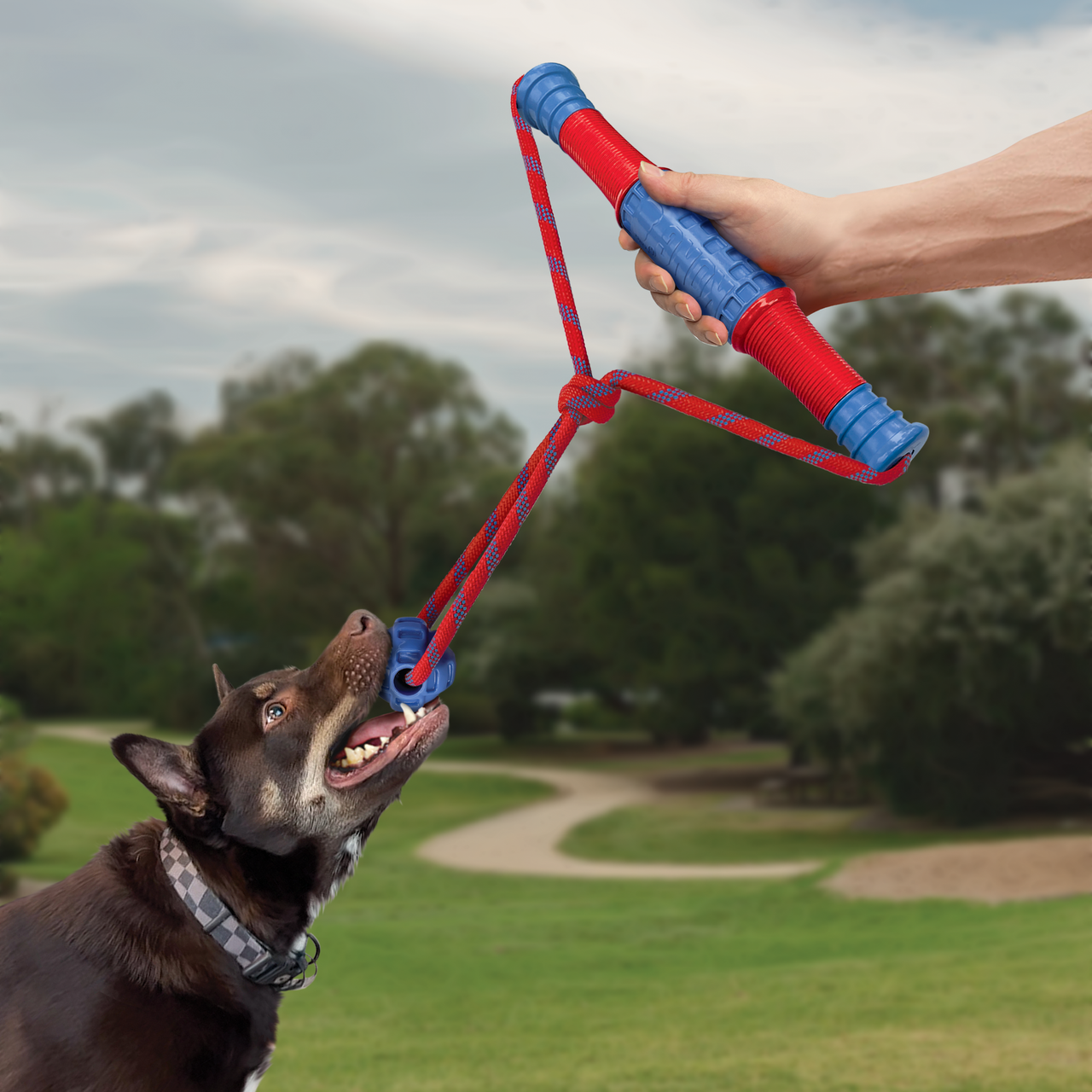 Tug Agility Dog Collars Dog Leash Agility Tug Toys Tether Tug V2 Outdoor Dog  Interactive