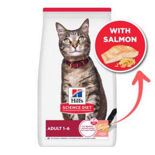 Hill's Science Diet Adult Salmon Dry Cat Food