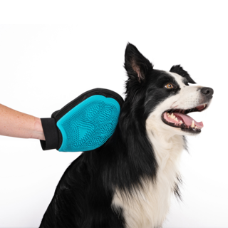 M-PETS Hairdo Dog Grooming Mitt
