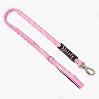 Dog Friendly Co. Original Bungee Dog Lead
