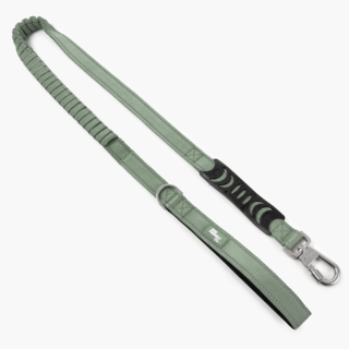 Dog Friendly Co. Premium Bungee Dog Leash 