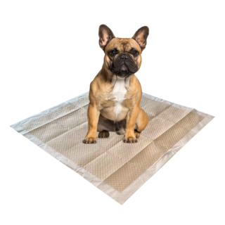 M-PETS Eco Puppy Training Pads
