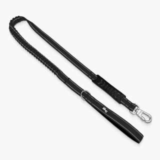 Dog Friendly Co.Bungee Dog Leash
