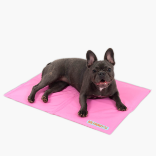 Dog Friendly Co. Dog Cooling Mat