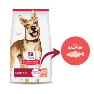 Hill's Science Diet Adult Salmon & Brown Rice Recipe Dry Dog Food