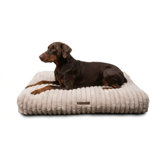 Coco & Cooper Ambient Snooze Dog Lounger