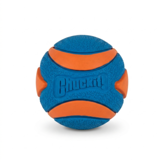 Chuckit! Ultra Squeaker Ball Dog Toy