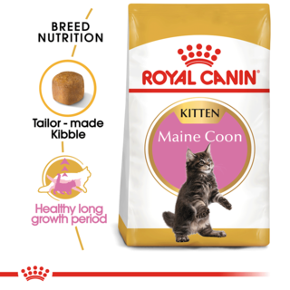 Royal Canin Maine Coon Kitten Dry Food