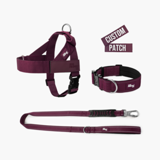 Dog Friendly Co. Premium Dog Lovers Pack 