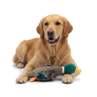 Pup & Purr Sir Duckworth Duck Dog Plush Toy