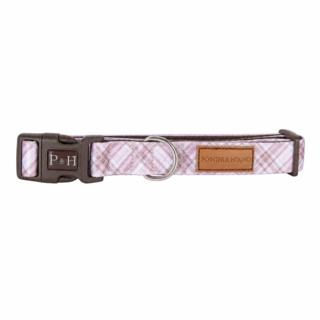 Pointer & Hound Signature Dog Collar