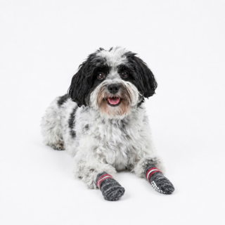 Trixie Non Slip Dog Socks 