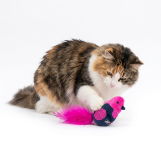 JOYSER Interactive Bird Cat Toy