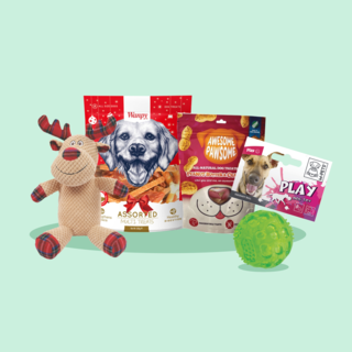 Petdirect Merry Woofmas Pack for Dogs