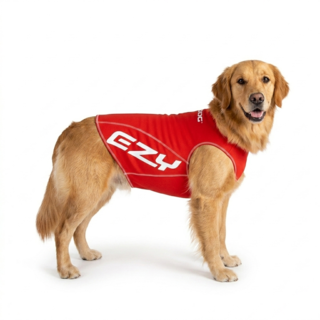 EzyDog Dog Rashie 50+ UV