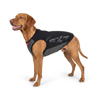EzyDog Thermax Winter Dog Vest