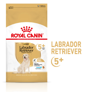 Royal Canin Labrador Retriever Adult 5+ Senior Dry Dog Food