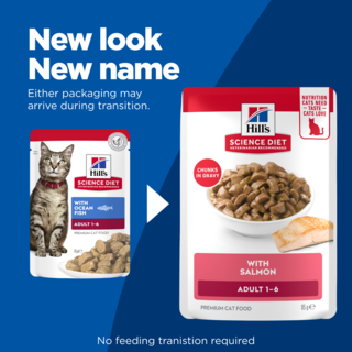 Hill's Science Diet Adult Salmon in Gravy Fish Wet Cat Food