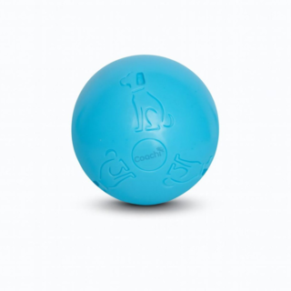 Company of Animals Coachi Boomi Ball Dog Toy