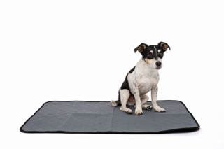 M-PETS Washable Puppy Training Pad