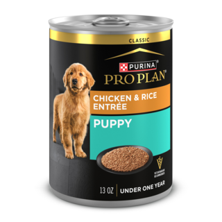 Pro Plan Puppy Chicken & Rice Entree Wet Dog Food