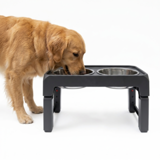 Pup & Purr Elevated Adjustable Double Pet Bowl