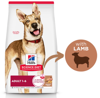Hill's Science Diet Adult Lamb Meal & Brown Rice Recipe Dry Dog Food
