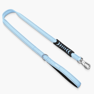 Dog Friendly Co.Classic Dog Leash
