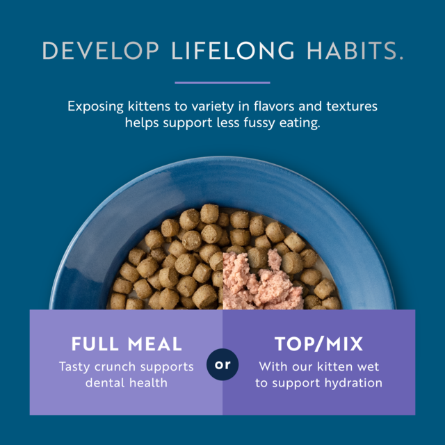 ZIWI Peak Kitten Steam & Dried Chicken & Southern Blue Whiting Dry Cat Food - Product Image 3